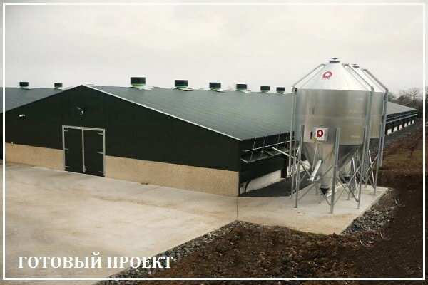 Этапы возведения птицефабрики от завода ВелесТент-реж